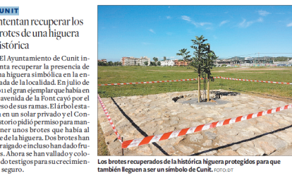 Iniciativa popular para recordar al jardinero de Cunit a los pies de su higuera