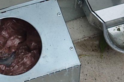 La tolva para pienso con bolsas con excremento de perro.