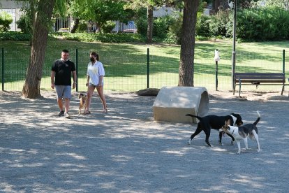 El pipicán del Parc Sant Jordi es uno de los más concurridos