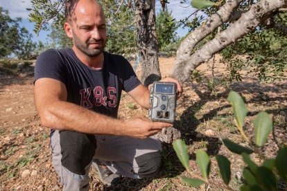 Cunillera tiene cámaras para detectar las matrículas de los ladrones.