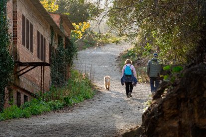 El sendero a su paso por L’Argentera.