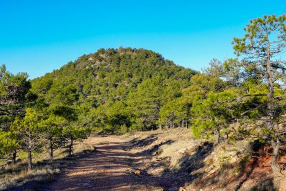 El Puig de Gallicant.