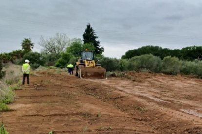 Trabajos de desbrozado previos a la actuación en la nueva estación de tren.