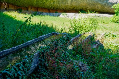Abrevadero del Clot del Cirer.