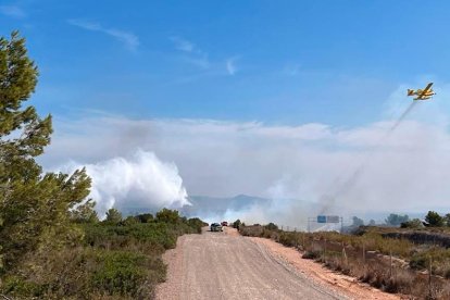 El fuego avanza en sentido mar y se encuentra entre la autovía y las vías del tren.