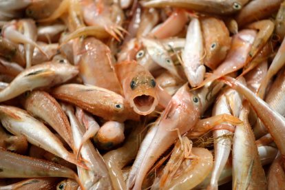 Los barcos vuelven al mar tras mes y medio de veda