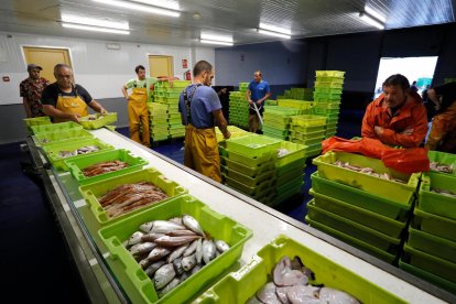 Los barcos vuelven al mar tras mes y medio de veda