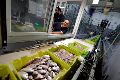 Los barcos vuelven al mar tras mes y medio de veda