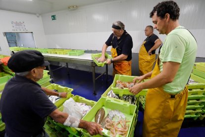 Los barcos vuelven al mar tras mes y medio de veda