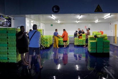 Los barcos vuelven al mar tras mes y medio de veda