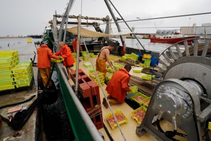 Los barcos vuelven al mar tras mes y medio de veda