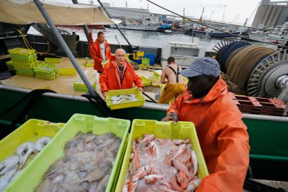 Los barcos vuelven al mar tras mes y medio de veda