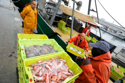 Los barcos vuelven al mar tras mes y medio de veda
