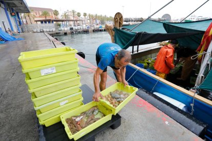 Los barcos vuelven al mar tras mes y medio de veda
