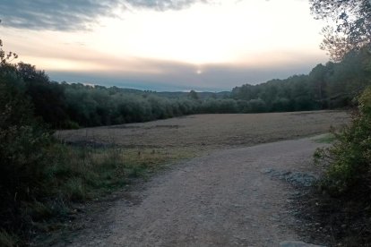 Estos son los terrenos de La Planota, en los que quiere construirse este hub deportivo.