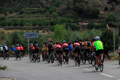 La Federació Catalana de Ciclisme exigeix l’agilització de la justícia per mitigar “el patiment de les famílies”.