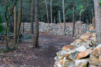 Margen de piedra del camino.