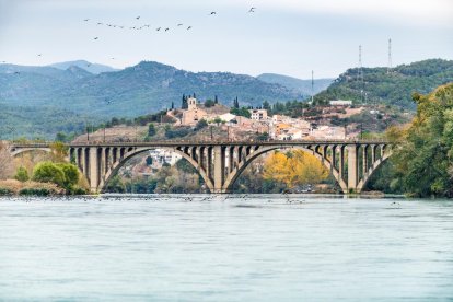 Els reflexos són un dels trets característics de les imatges.