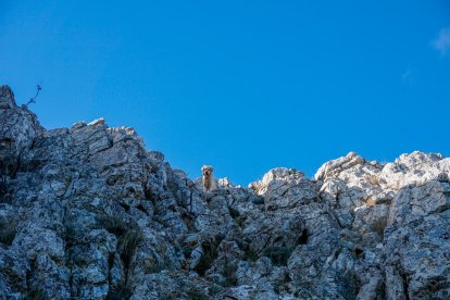 De ruta por Tarragona: La cara oculta de La Mola