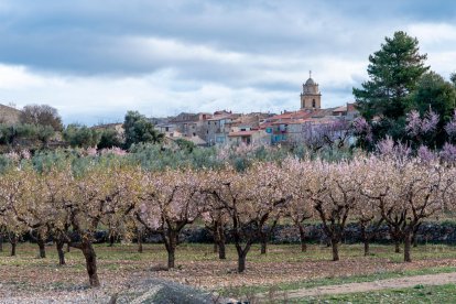 Vista del pueblo de Arnes.