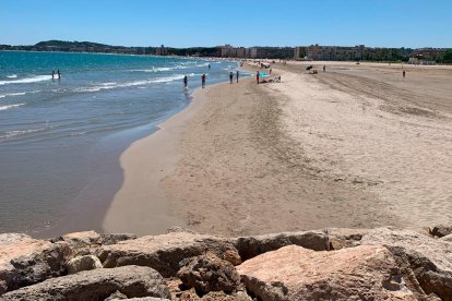 La playa, llena de estos pequeños fragmentos.