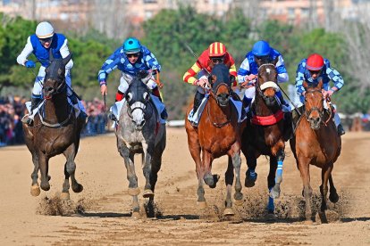Carreras de pura sangre ingleses.