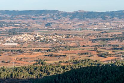 Vista de Barberà de la Conca y Sarral.