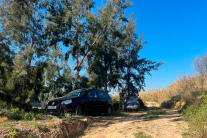 Hay quienes, cansados de dar vueltas, acaba aparcando en una zona boscosa.