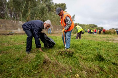 Los vecinos de La Móra, en Tarragona, limpian la vegetación el canal