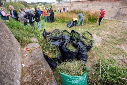 Los vecinos de La Móra, en Tarragona, limpian la vegetación el canal