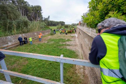Los vecinos de La Móra, en Tarragona, limpian la vegetación el canal