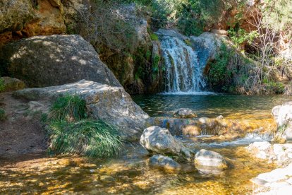 Poza formada por el riu de Les Tosques.