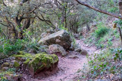 El Camí de Les Tosques.