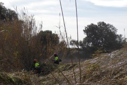 Desbrozado de cañas en la riera.