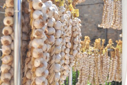 Desenes de forcs d'alls a la parada.