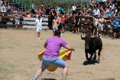 Un participante incita a la vaquilla a que venga para capearla.