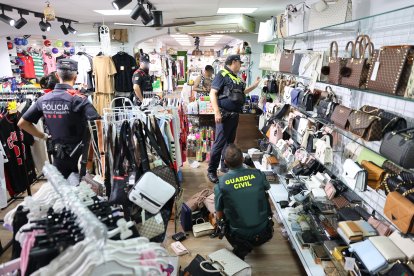 La inspección a un comercio de la zona se saldó con el decomiso de más de 800 productos falsos o de contrabando.