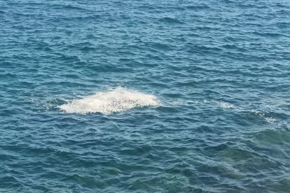 Una de les taques detectades a mar.