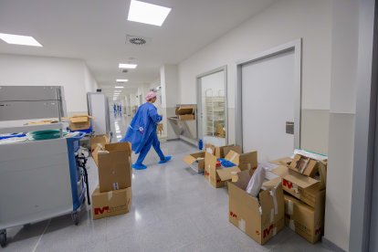 Trabajadores haciendo la mudanza.