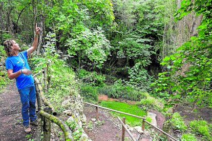 Hectòr Hernàndez, a l'Hort de les Salamandres