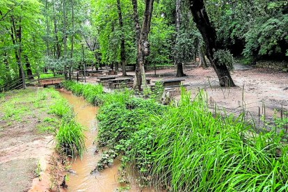 L'Albareda de Santes Creus és un lloc ideal per passejar.