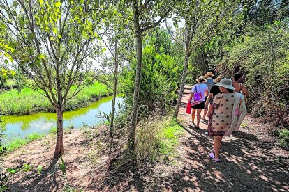 La desembocadura del Gaià, a la platja de Tamarit