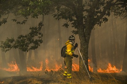 Un bombero forestal realiza labores de extinción en el nuevo incendio declarado este miércoles en A Gudiña (Ourense).