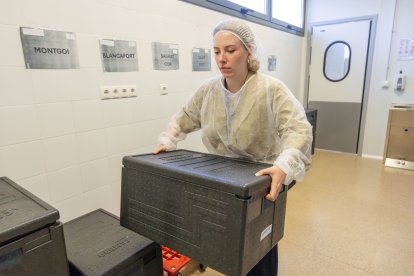 Un cop cuinats, els àpats es distribueixen cada matí entre les nou escoles.