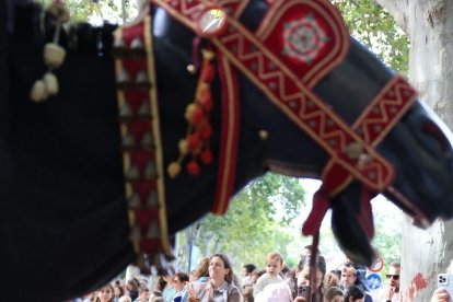 La tradicional Baixada dels Elements del Seguici.