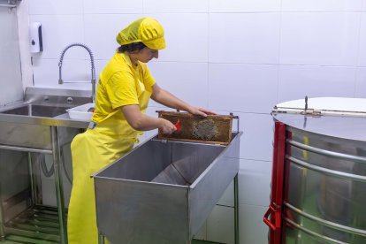 La Gemma mostra com es retira la cera de la bresca.