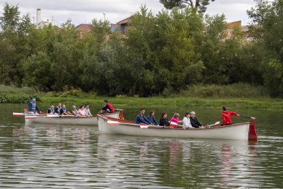 Algunes de les muletes participants, al riu Ebre al seu pas per Tortosa