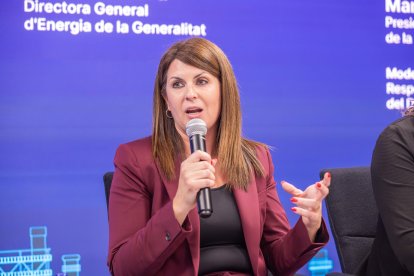 Trinidad Sala, delegada regional Nordeste en Redeia.