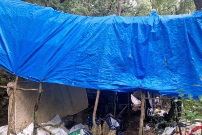 Además de la marihuana, se desmanteló el asentamiento de los cuidadores de la plantación.