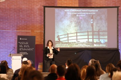 El astroturismo es uno de los aspectos que se ha tratado durante la jornada dedicada al eclipse de sol del año 2026.